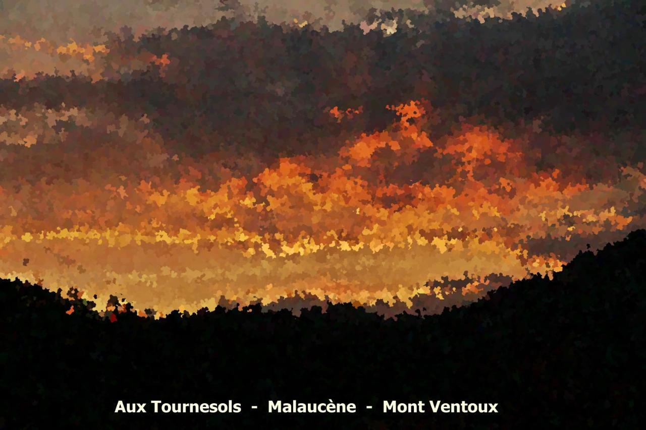 Gite Aux Tournesols มาโลแซน ภายนอก รูปภาพ